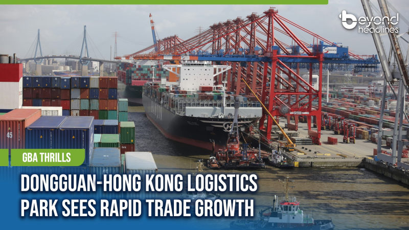 [GBA Thrills] Dongguan-Hong Kong Logistics Park Sees Rapid Trade Growth