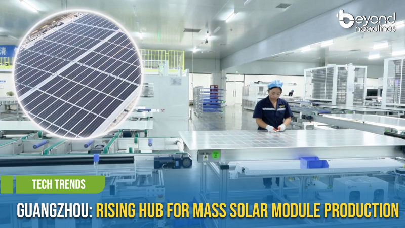 [Tech Trends] Guangzhou: Rising Hub for Mass Solar Module Production
