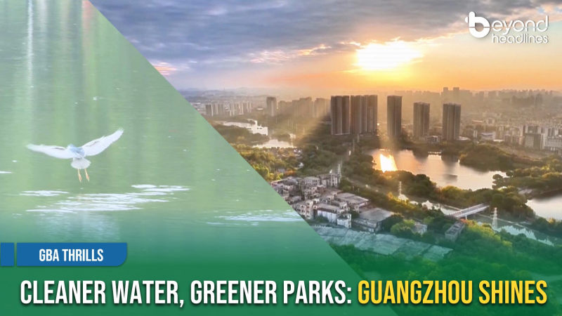 [GBA Thrills] Cleaner Water, Greener Parks: Guangzhou Shines