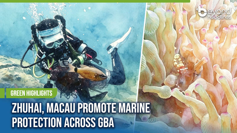 [Green Highlights] Zhuhai, Macau Promote Marine Protection Across GBA