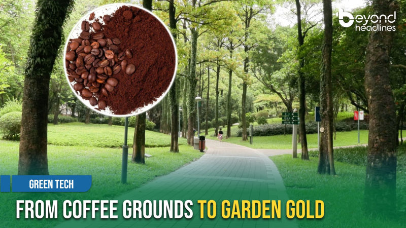[Green Tech] From Coffee Grounds to Garden Gold