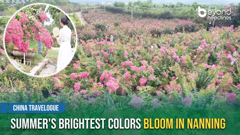 [China Travelogue] Summer's Brightest Colors Bloom in Nanning