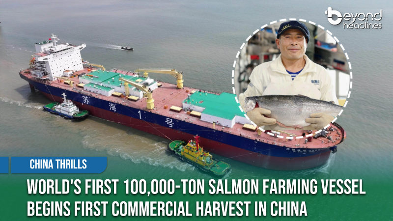 [China Thrills] World's First 100,000-Ton Salmon Farming Vessel Begins First Commercial Harvest in China