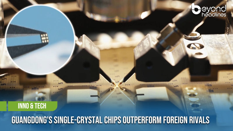 [Inno & Tech] Guangdong's Single-Crystal Chips Outperform Foreign Rivals