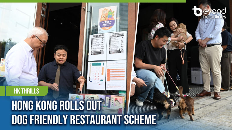 [HK Thrills] Hong Kong Rolls Out Dog Friendly Restaurant Scheme