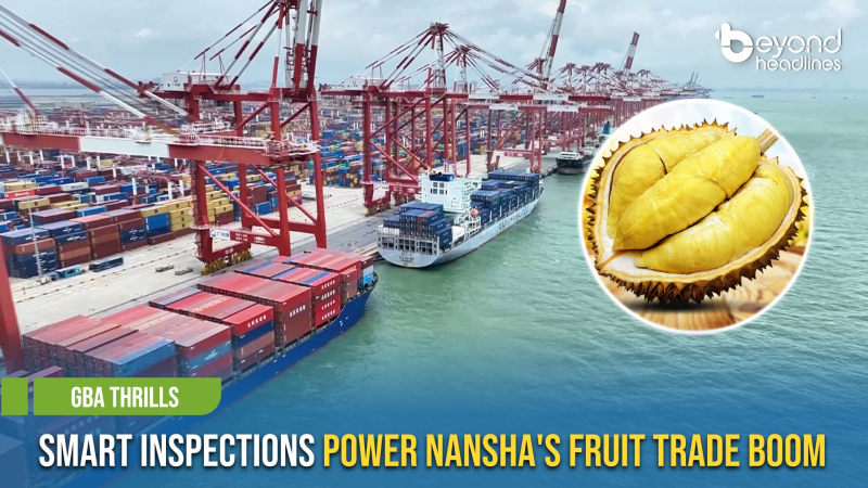 [GBA Thrills] Smart Inspections Power Nansha’s Fruit Trade Boom