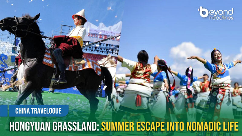 [China Travelogue] Hongyuan Grassland: Summer Escape Into Nomadic Life