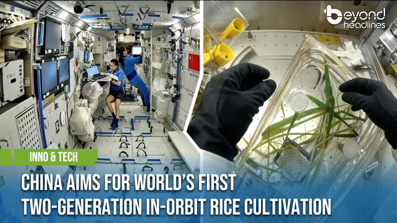 [Inno & Tech] China Aims for World's First Two-Generation In-Orbit Rice Cultivation