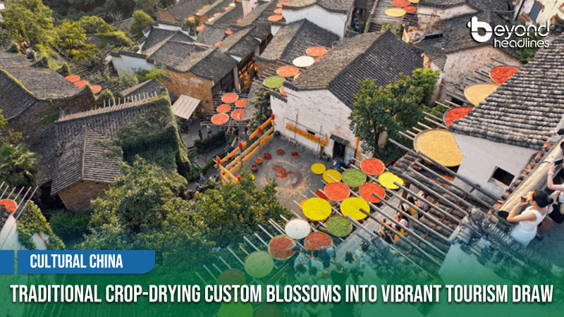 [Cultural China] Traditional Crop-Drying Custom Blossoms into Vibrant Tourism Draw
