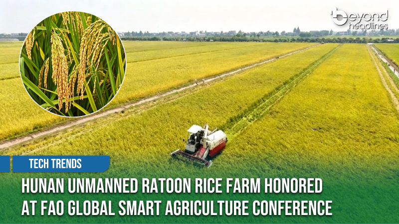 [Tech Trends] Hunan Unmanned Ratoon Rice Farm Honored at FAO Global Smart Agriculture Conference