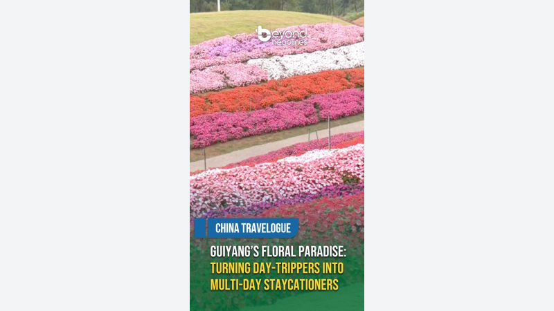 [China Travelogue] Guiyang’s Floral Paradise: Turning Day-Trippers into Multi-Day Staycationers