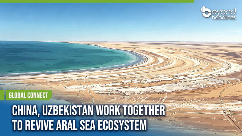 [Global Connect] China, Uzbekistan Work Together to Revive Aral Sea Ecosystem