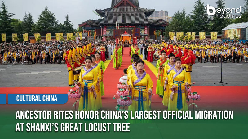 [Cultural China] Ancestor Rites Honor China’s Largest Official Migration at Shanxi’s Great Locust Tree