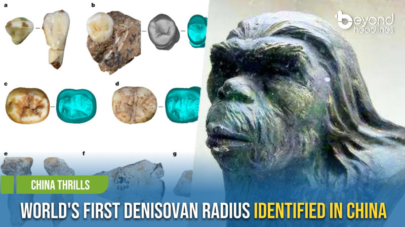 [China Thrills] World's First Denisovan Radius Identified in China