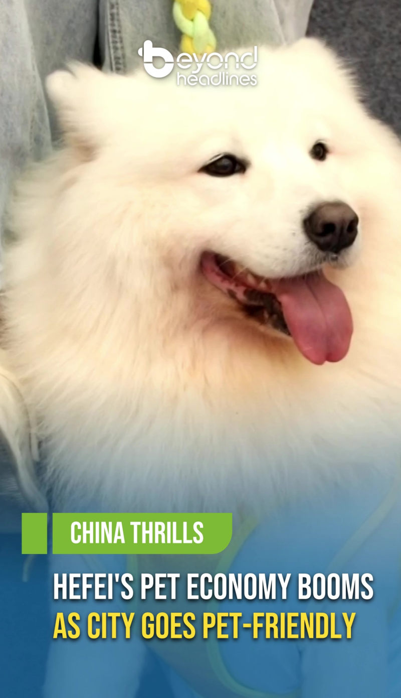 [China Thrills] Hefei's Pet Economy Booms as City Goes Pet-Friendly