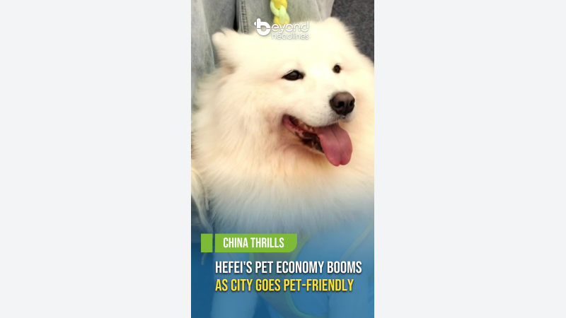 [China Thrills] Hefei's Pet Economy Booms as City Goes Pet-Friendly
