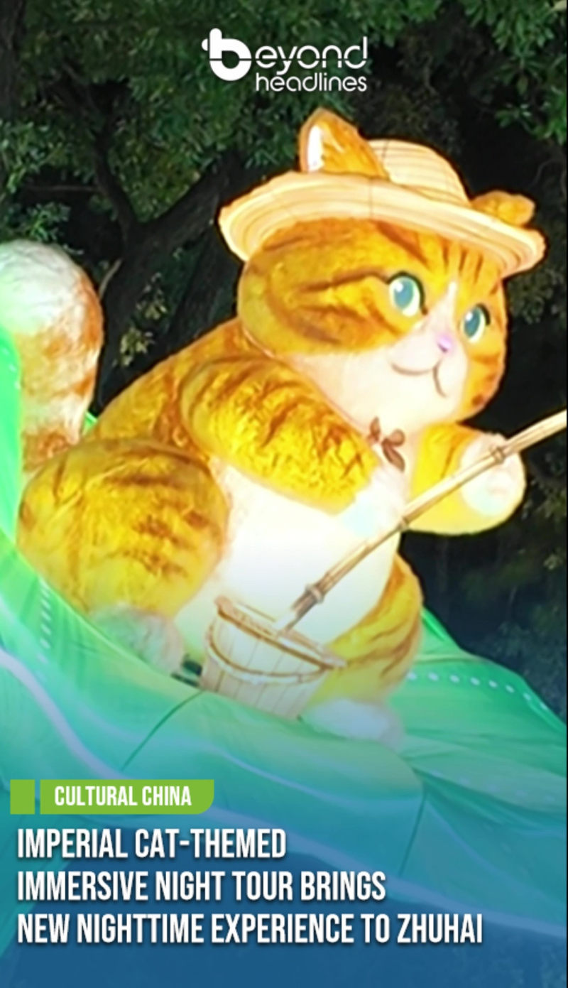 [China Travelogue] Imperial Cat-Themed Immersive Night Tour Brings New Nighttime Experience to Zhuhai