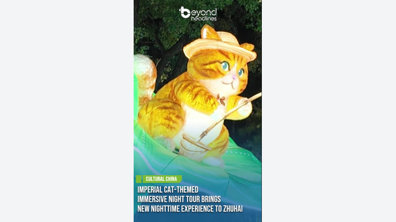 [China Travelogue] Imperial Cat-Themed Immersive Night Tour Brings New Nighttime Experience to Zhuhai