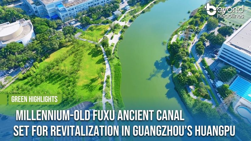 [Green Highlights] Millennium-Old Fuxu Ancient Canal Set for Revitalization in Guangzhou’s Huangpu