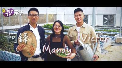 Quis maiores sit minima quis.