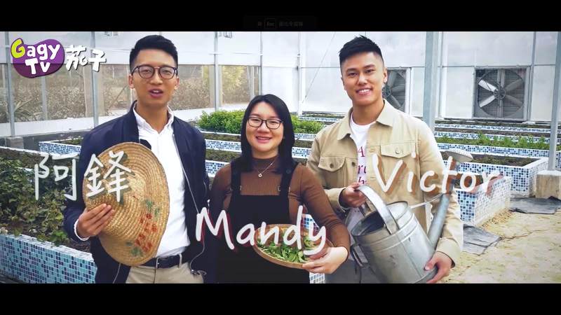 Quis maiores sit minima quis.